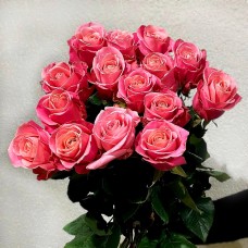 15 розовых роз (50 см)